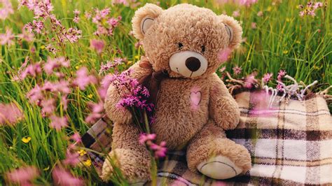 Wallpapers Hd Cute Teddy Bear