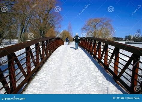 Walking Across The Snowy Bridge Stock Photo Image Of Extend Hike