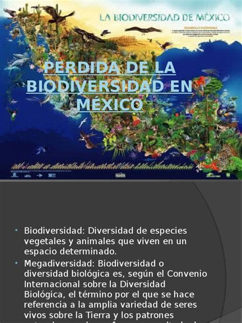 Perdida De La Biodiversidad En México 1pptx Destrucción Del