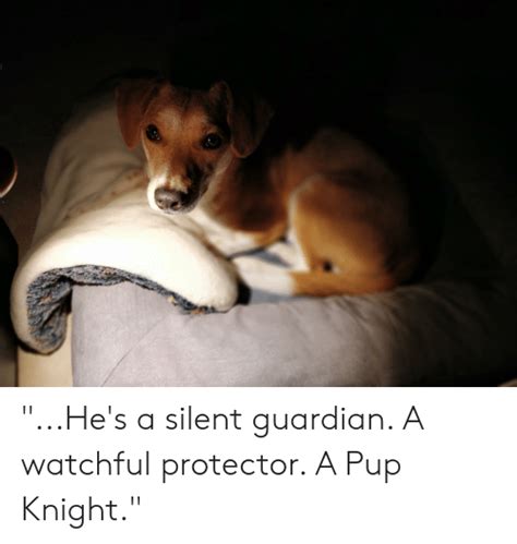 he s a silent guardian a watchful protector a pup knight guardian meme on me me