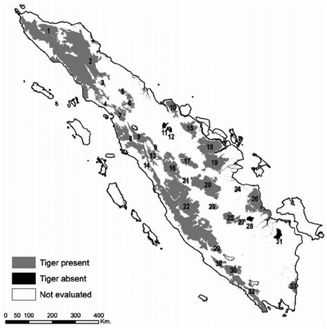 Habitats Sumatran Tigers