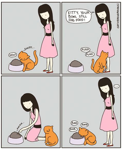 This Comics Perfectly Sums Up A Life With A Cat Pics Izismile Com