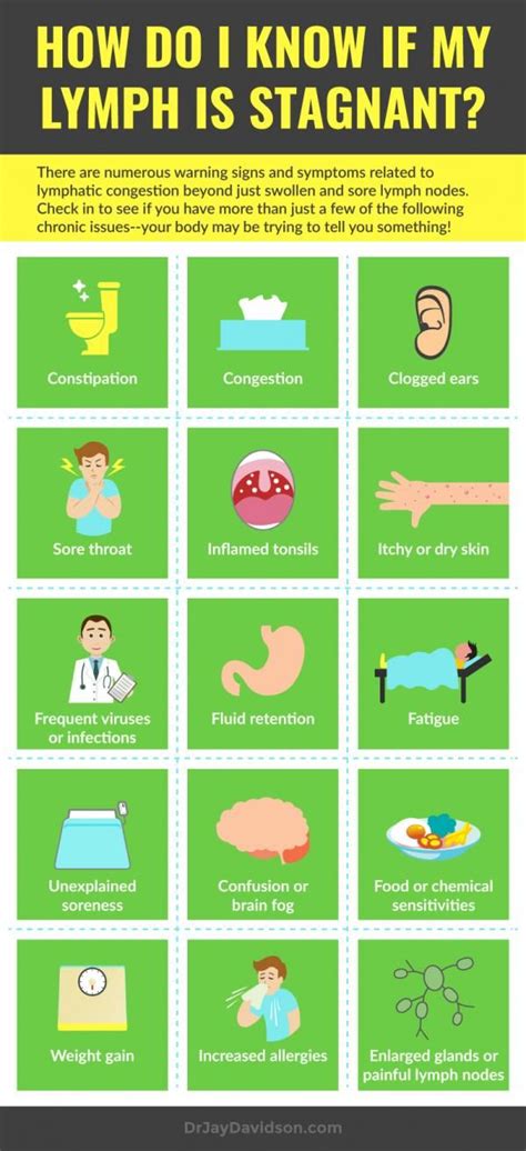 Lymphatic System Drainage Chart