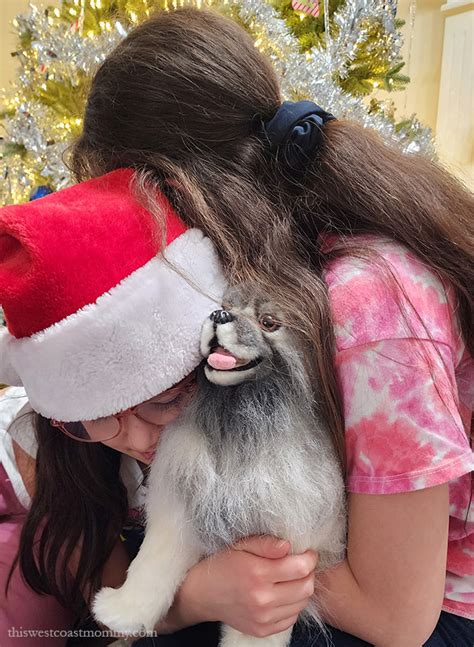 A Petsies Lookalike Plush Pet Is The Best T I Gave My Kids This Year