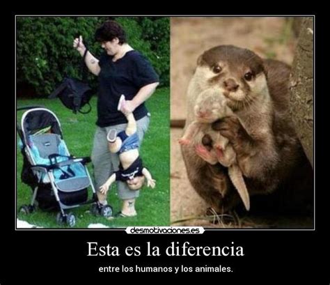 Que Diferencia A Los Seres Humanos De Los Animales Esta Diferencia