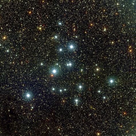 M39 Cygnus Constellation Constellation Cygnus