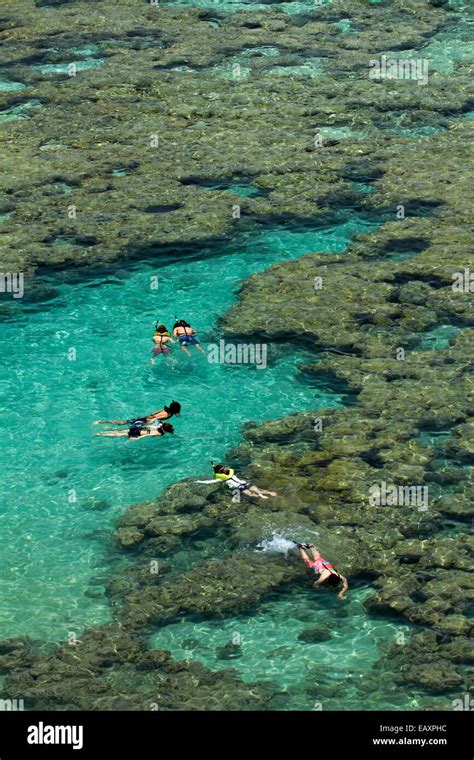 People Snorkelling Among Coral Reef At Hanauma Bay Nature Preserve