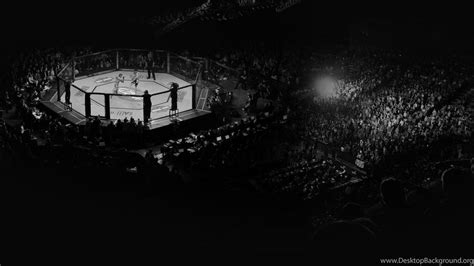 Ufc Cage Wallpapers Wallpaper Cave