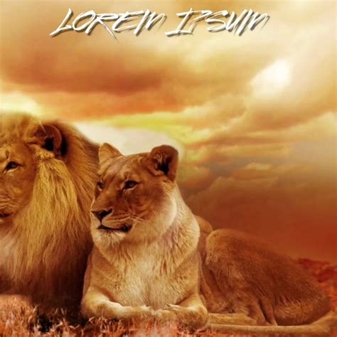 Copy Of Lion Lioness Love African Animal Background Postermywall