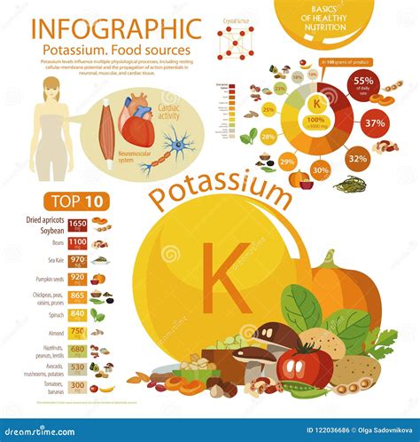Infographics Del Contenido Del Potasio En Productos Alimenticios De
