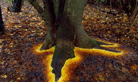 Andy Goldsworthy Environmental Sculptures Designs And Ideas On Dornob