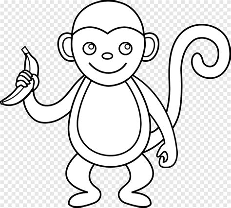 Spider Monkey Black And White Outline Of A Monkey White Mammal Png