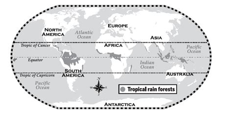 Climate And Climate Zones Tropical Rainforests