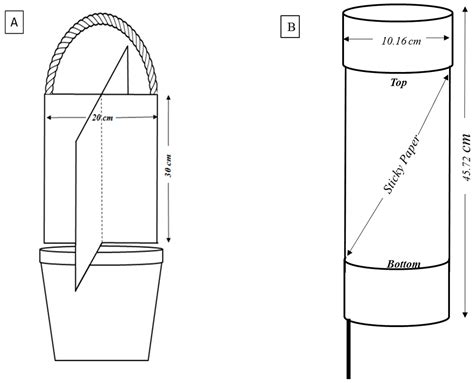 As a local company serving the athens community with more than 10 years of experience. IJMS | Free Full-Text | Biology, Pest Status, Microbiome ...