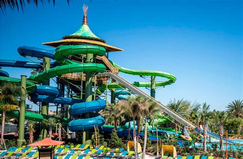 Which Florida Water Park Has The Most Thrilling Slide