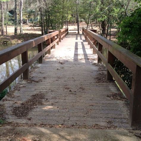 Happiness Is The Bridge To The Forest Desoto Enchanted Forest The