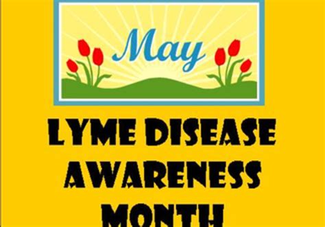 May Is Lyme Disease Awareness Month Macaroni Kid Timonium North