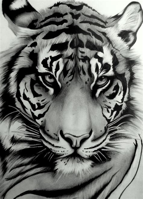 Sumatran Tiger By Artistelllie On Deviantart