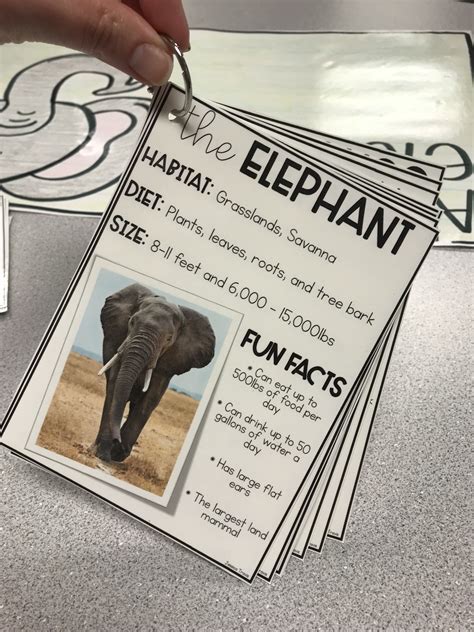 Animal Research Cards Elephant Habitat Writing Station Habitats