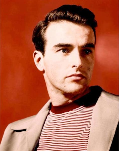 Montgomery Clift Daily
