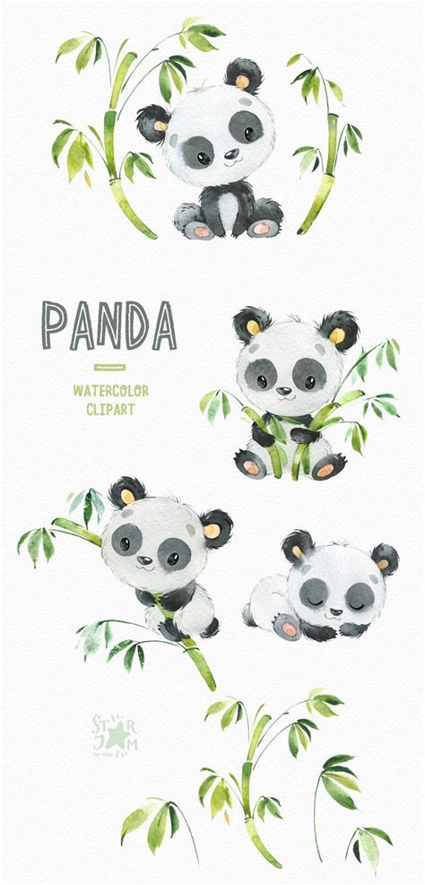 Panda Pequeños Animales Imágenes Prediseñadas Acuarela Etsy