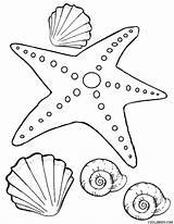 Starfish Coloring Fish Star Sea Ocean Printable Clipart Adults Stars Cool2bkids Library Getcolorings Twinkle Popular Fishing sketch template