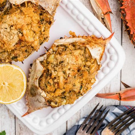 Stuffed Crab The Cagle Diaries