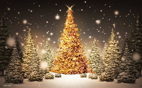 Christmas Tree Background 3 Trends In Usa