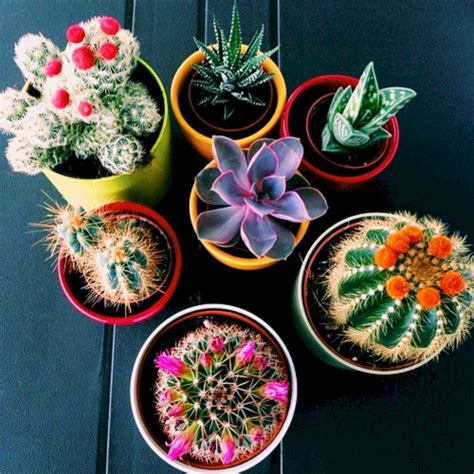 Cool 45 Creative Diy Cactus Planters You Should Copy Right Now