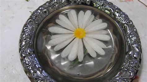 Techniques to embed flowers in resin: Daisy flower 3d resin paint - YouTube