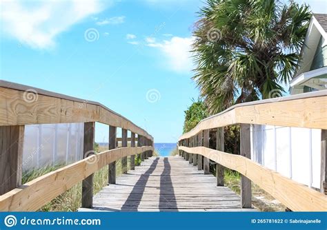 Boardwalk Panama City Stock Photo Image Of Nature Gulf 265781622