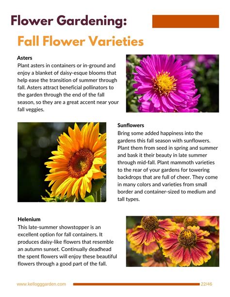 Fall And Winter Gardening Guide Kellogg Garden Organics