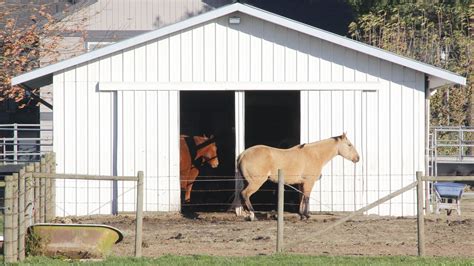 Best Horse Barn Designs And Tips For Small Farms