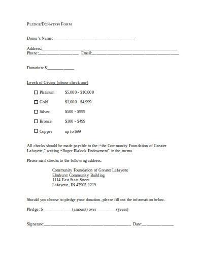 Free 10 Charity Pledge Form Samples And Templates In Pdf Ms Word