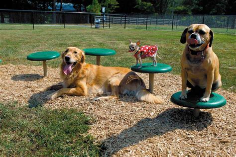 Dog Parks Commercial Recreation Specialists