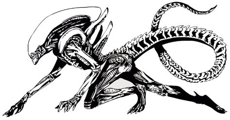 Hr Giger Giger Alien Giger Art Alien Artwork Alien Drawings