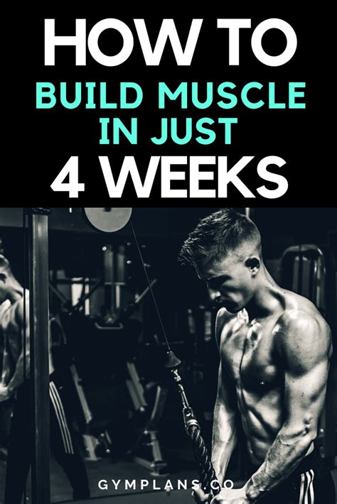 Workout Plan To Build Massive Muscle In 4 Weeks Muscle