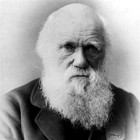 Today In History 2 October 1836 Charles Darwin Returns To England