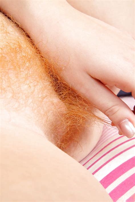 Hairy Mix Beautiful Small Hairy Pussy Porn Pictures Xxx Photos Sex