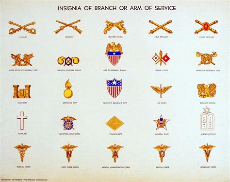 Army Army Branches