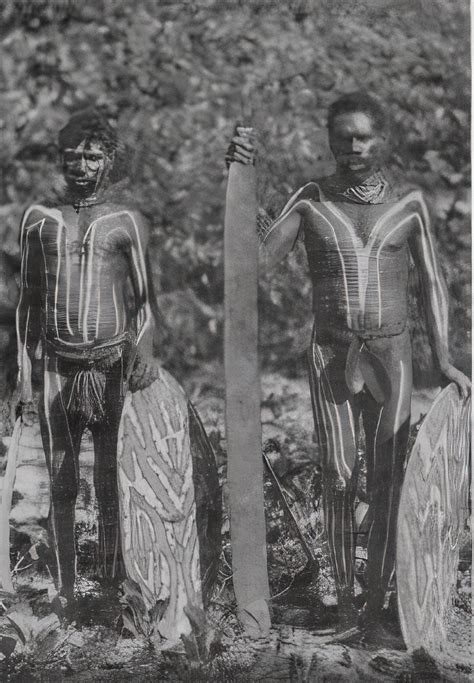 Wooden Tools And Weapons Aboriginal Culture Introduction To