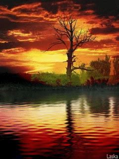 Gif abyss is a great place to find and share gifs. Animated wallpapers, screensavers for cellphones (240x320) | Sunset gif, Sunset, Scenery