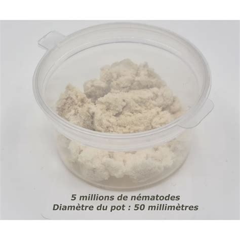 Nématodes Mouches Du Terreau 5 Millions Nématode Sf Greenweez