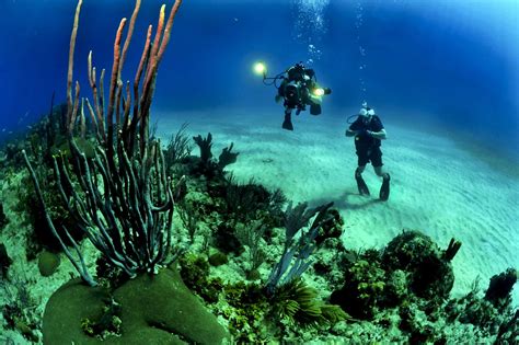 Guide To Scuba Diving In Costa Rica Drink Tea And Travel