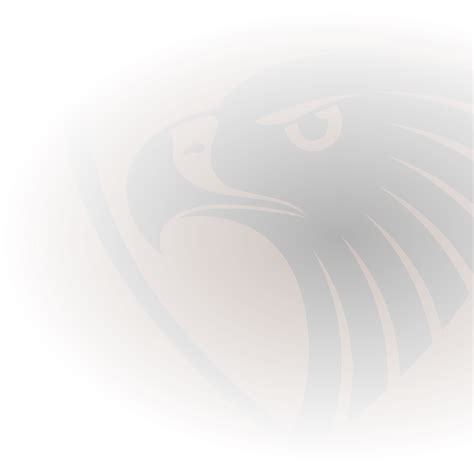 Official AFL Website of the St Kilda Football Club