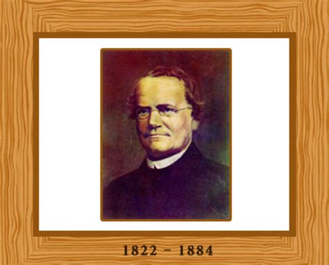 Gregor Mendel 1822 1884 Timeline Timetoast Timelines