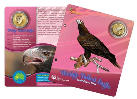 2008 1 Young Collectors Australian Animals 13 Coin Set Town Hall