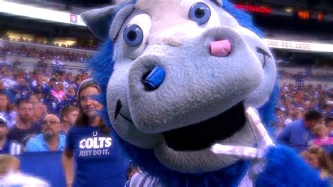 Colts Mascot Indianapolis Colts Letting Fans Design Mascots Shoes