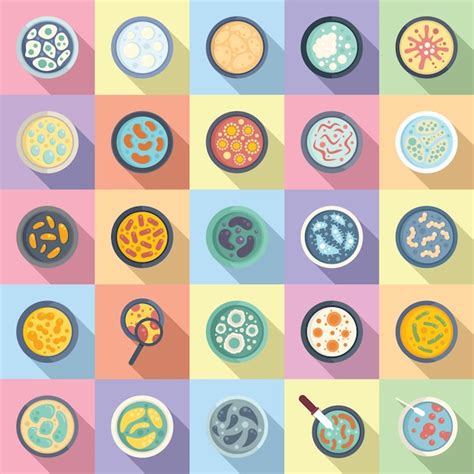 Premium Vector Petri Dish Icons Set Flat Vector Bacteria Experiment