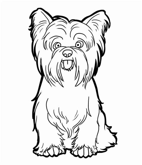 Yorkie Coloring Pages At Free Printable Colorings